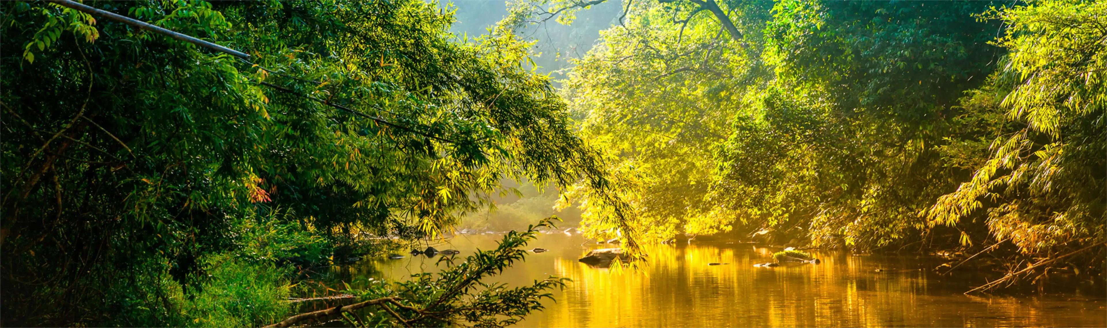  image background